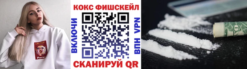Cocaine FishScale Купить закладки Рузаевка