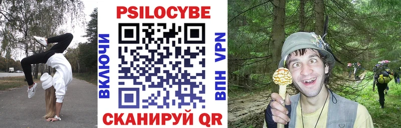 Купить  Рузаевка  Галлюциногенные грибы Magic Shrooms 
