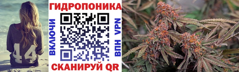Купить  Рузаевка  Бошки марихуана планчик 